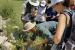 Biodiversità