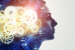 Giornate scientifiche Centro Neuroscienze