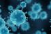 virus