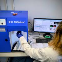 Centro di ricerche in Farmacologia medica