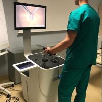 Simulatore chirurgico