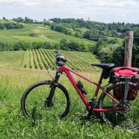 Bicicletta parcheggiata accanto a campi