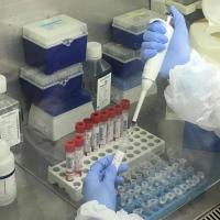 Persona in laboratorio dell'Ateneo