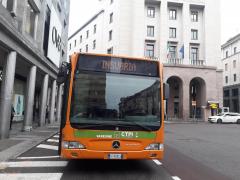 bus
