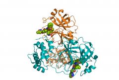 proteine covid19