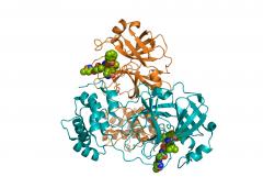 proteine covid19 proteine covid19