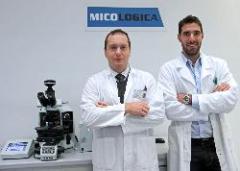 Primo dottorato in apprendistato all'Insubria per studiare i funghi medicinali