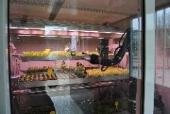 Zephyr su Euronews Zephyr su Euronews