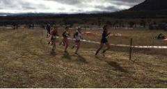 Mezzofondista Insubria ottiene quinto posto nel Cross internazionale in Spagna