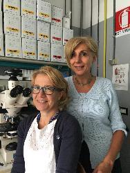 Alimenti fortificati con nanoparticelle di ferro contro l'anemia: uno studio pubblicato da Scientific reports apre questa frontiera Alimenti fortificati con nanoparticelle di ferro contro l'anemia: uno studio pubblicato da Scientific reports apre questa frontiera