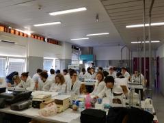 Studenti Liceo Scientifico Curie Tradate partecipano al Progetto Scienza e Tecnologia 2