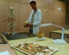 Omar Larentis al lavoro