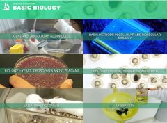 Journal of visualized experiments – JoVE - Science Educational Database - Biology II, Mouse, Zebrafish and Chicks