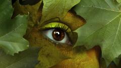 webinar trasporti 28 maggio