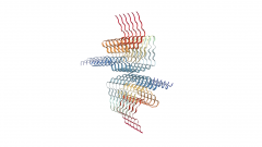 synuclein