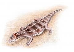 Eusaurophargis dalsassoi. Ricostruzione Silvio Renest