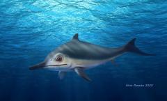 rendering rettile pinna dorsale