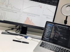 portatile e monitor