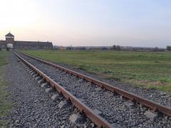 Giornata della memoria Giornata della memoria