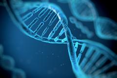 Dna