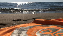 Chiusura estiva ateneo 2022