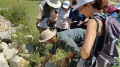 Biodiversità