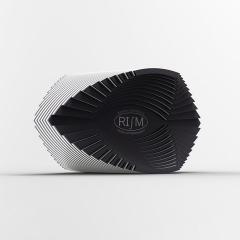 rieman prize morandini