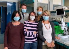 Team Dbsv Insubria