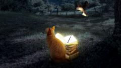 Tre storie di Fata G per la Settimana della Giustizia riparativa