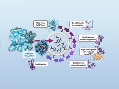 Biotecnologie