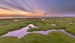 Procedimento normativo bonifica