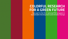 phd colorful