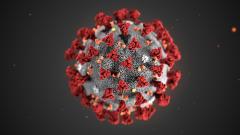 Immagine del Coronavirus