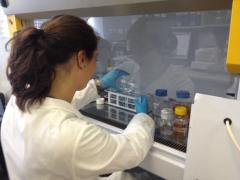 laboratorio di ricerca