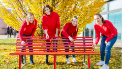 giornata violenza donne