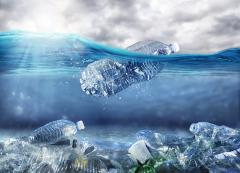 plastiche