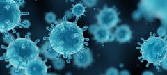 virus