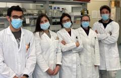 Greta Forlani team