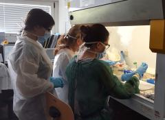 Personale del dipartimento al lavoro in un laboratorio di ricerca