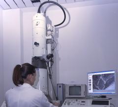 Microscopio a scansione elettronica