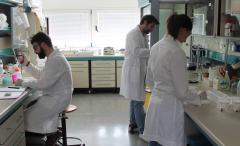lab tettamanti