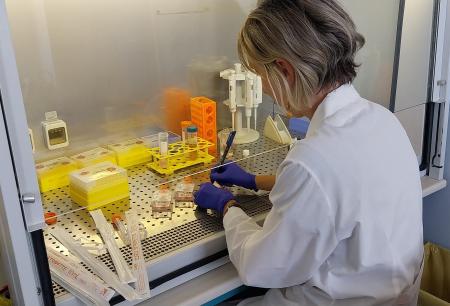 Laboratorio del Centro di Farmacologia Medica