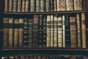 L'immagine ritrae alcuni scaffali di libri antichi